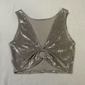 Silver Velvet Crop Top